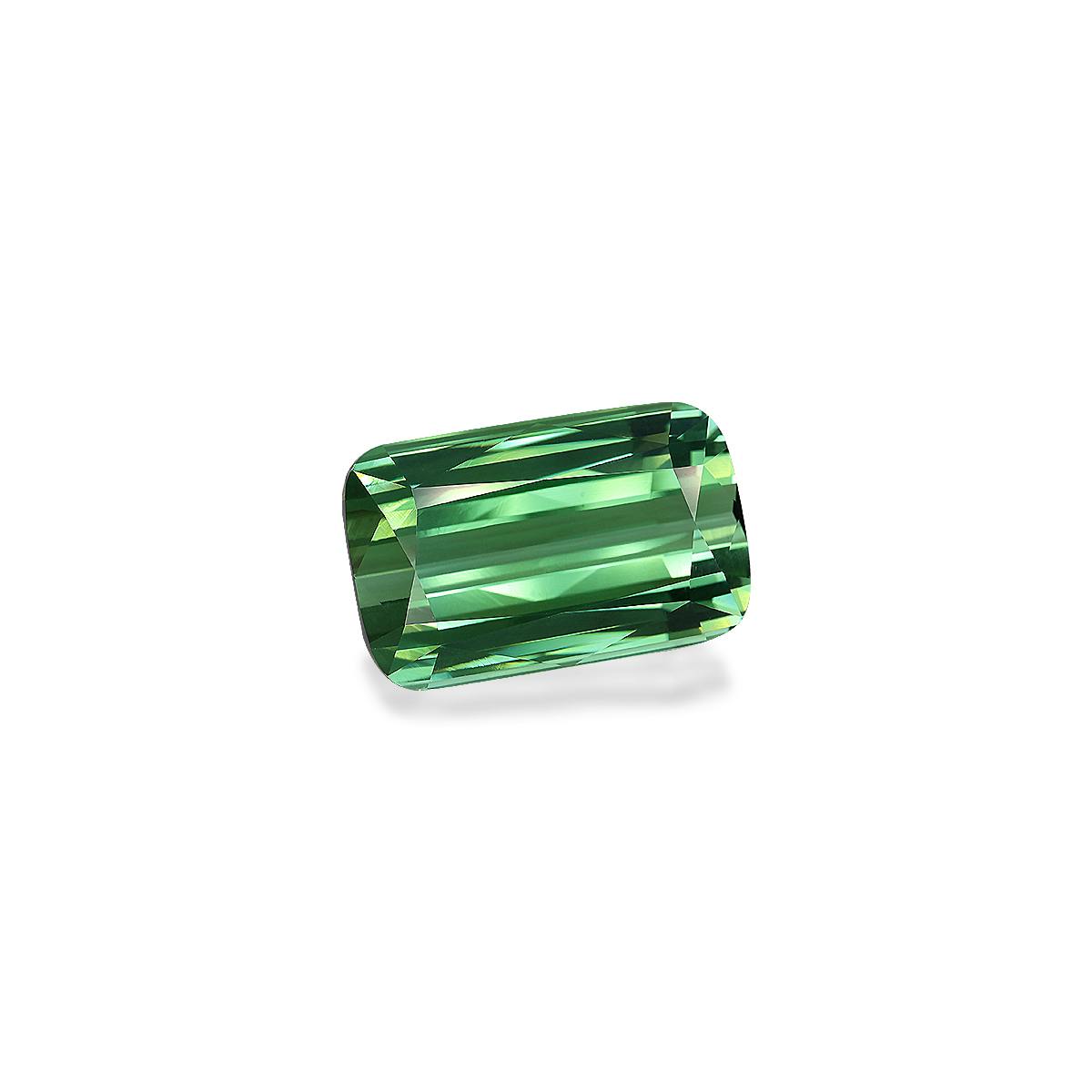 Green Tourmaline 42.60 ct